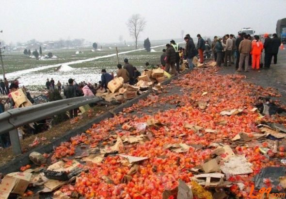 申论热点:中国式哄抢