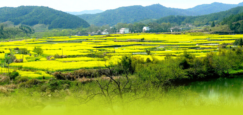 申论热点:发展乡村旅游
