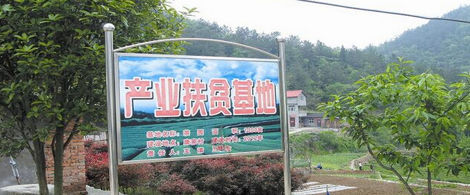 ����Ա�����ȵ㣺��ҵ��ƶ